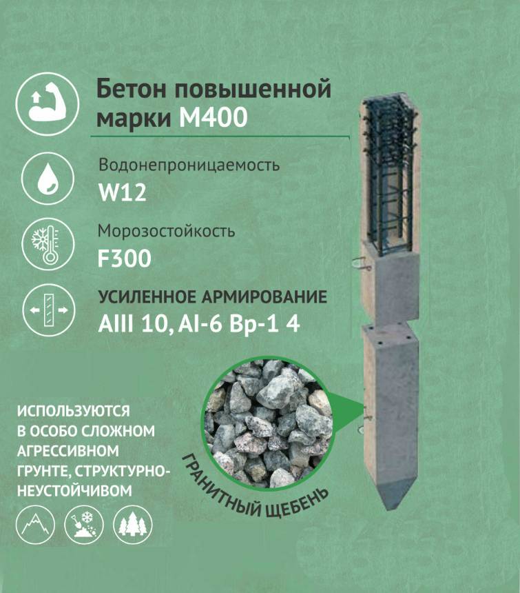fonch-zel-1.jpg fonch-zel-1.jpg